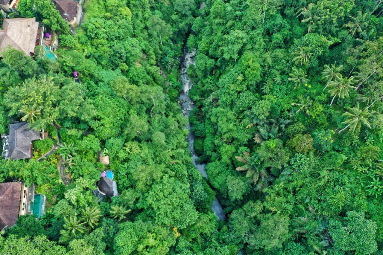 Villa Awang Awang Ubud Exteriör bild